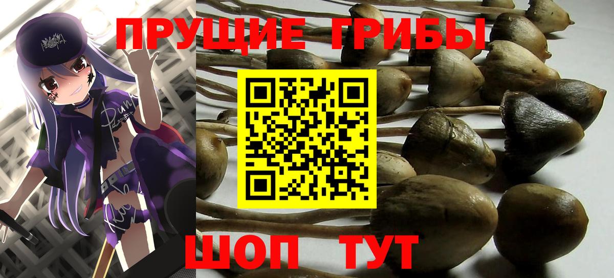 Псилоцибиновые грибы GOLDEN TEACHER Анжеро-Судженск